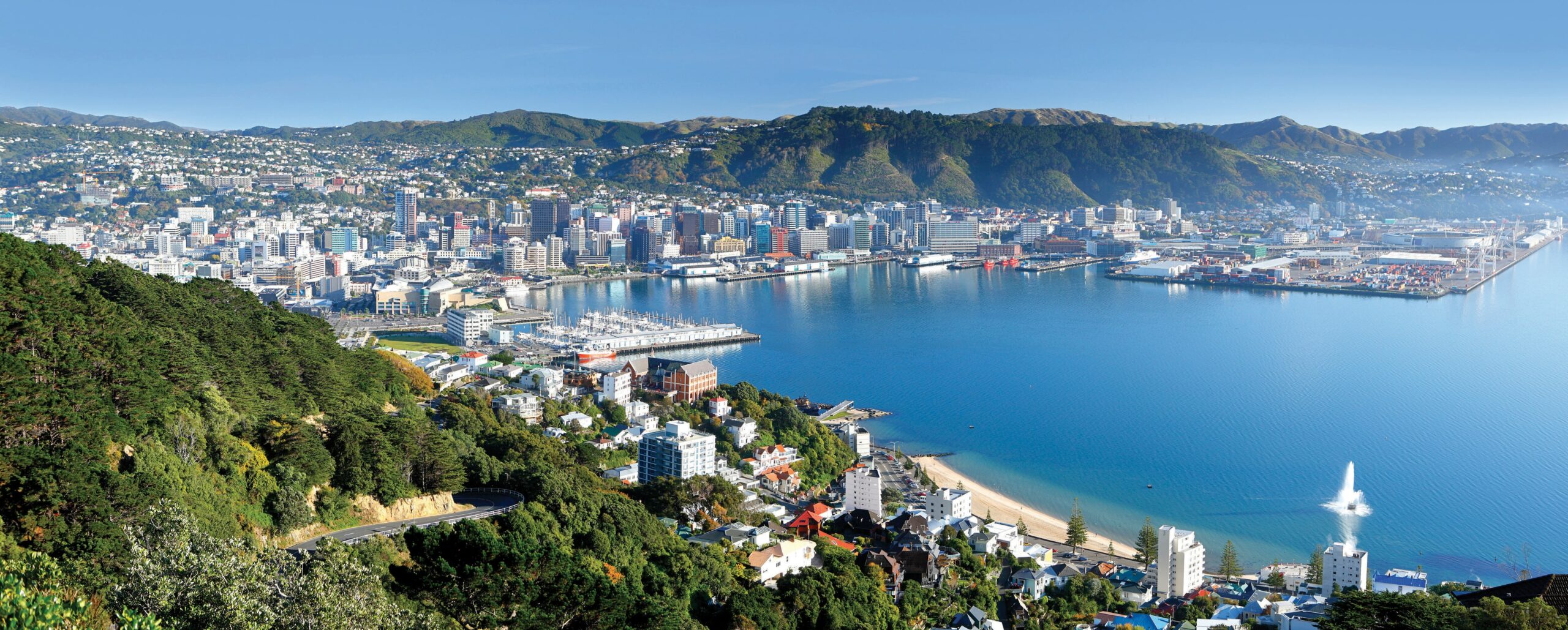 vuw wellington harbour view 1 min